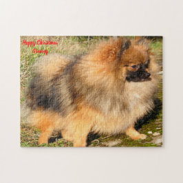 Pomeranian Hund. Pussel
