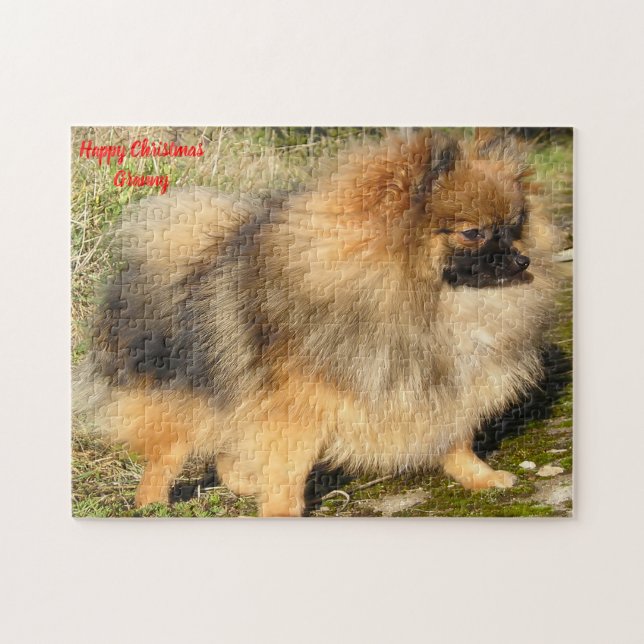 Pomeranian Hund. Pussel (Horisontell)