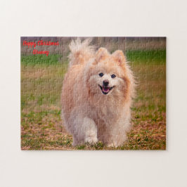 Pomeranian Hund. Pussel