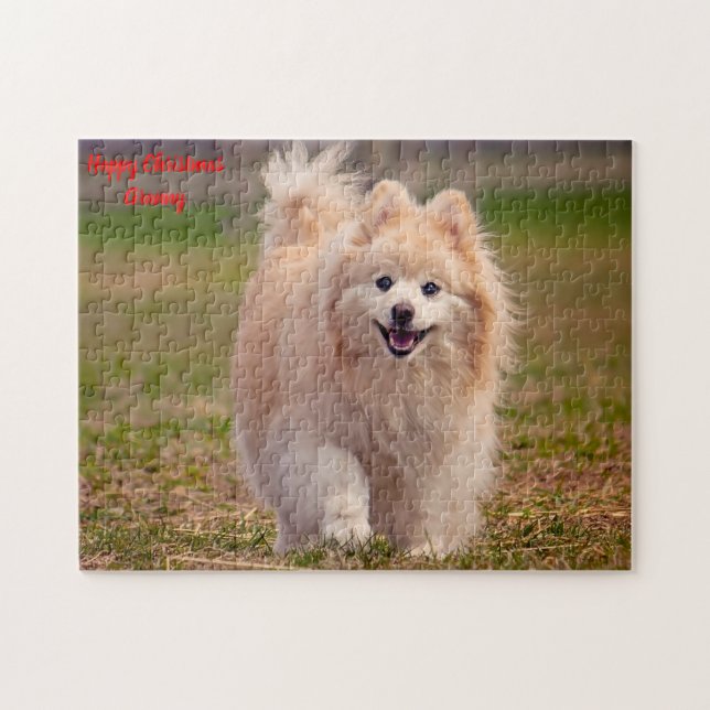 Pomeranian Hund. Pussel (Horisontell)