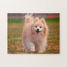 Pomeranian Hund. Pussel