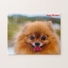 Pomeranian Hund. Pussel