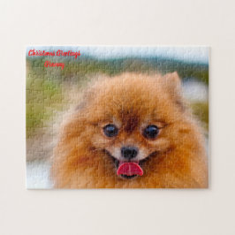 Pomeranian Hund. Pussel