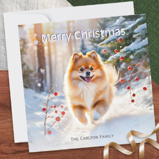 Pomeranian Hund Snö Bild God Jul Julkort