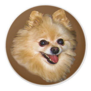 Pomeranian hundanpassade knopp