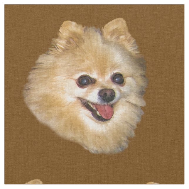 Pomeranian hundanpassade tyg (Närbild)