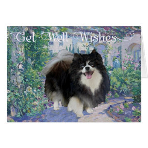 Pomeranian i blomsterträdgård hälsningskort
