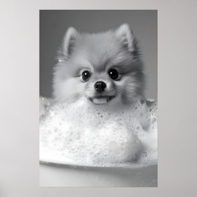 Pomeranian i bubbelbad tryck, rolig hund poster (Framsidan)