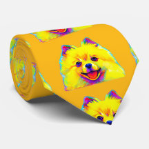 Pomeranian i färger