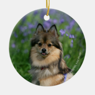 Pomeranian i gräset julgransprydnad keramik