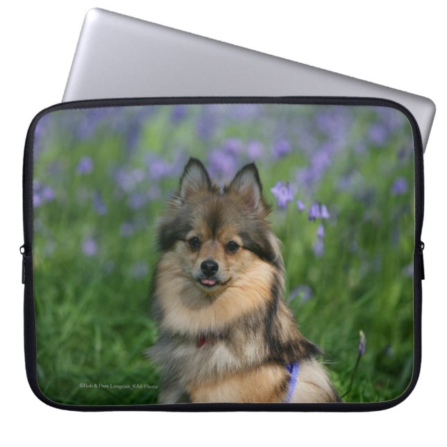 Pomeranian i gräset laptop sleeve (Framsidan)