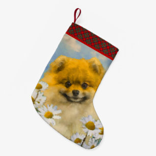 Pomeranian i prästkragar målning - Original hundko Liten Julstrumpa