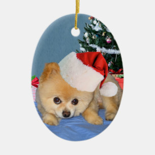 Pomeranian i Santa hattprydnad Julgransprydnad Keramik