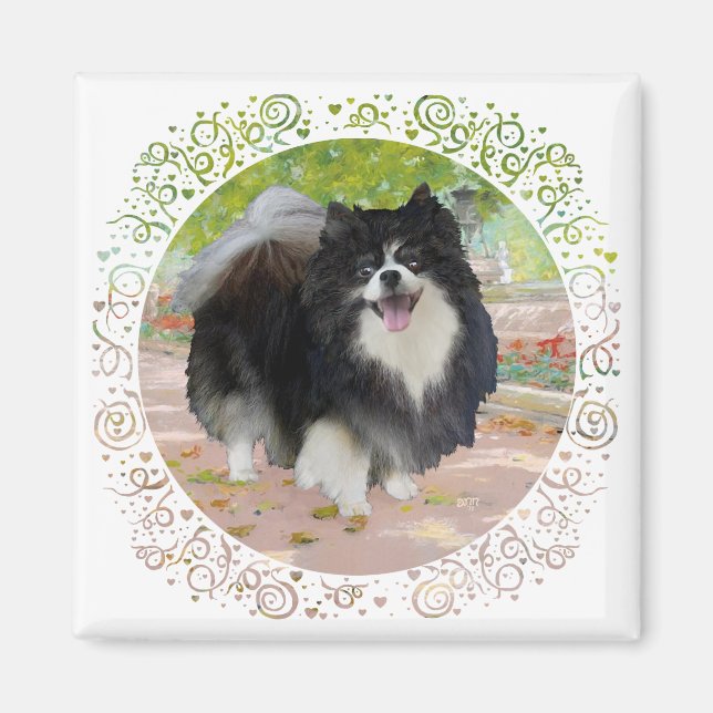 Pomeranian i Shady Promenade Magnet (Framsidan)