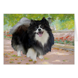Pomeranian i skuggig promenad hälsningskort