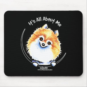 Pomeranian IAAM Musmatta