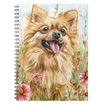 Pomeranian Journal – Hundmamma Anteckningar