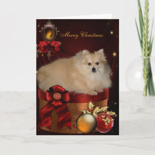 Pomeranian jul helgkort
