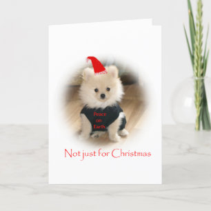 Pomeranian julkort helgkort
