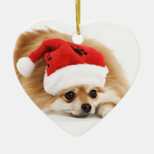 Pomeranian julprydnad julgransprydnad keramik