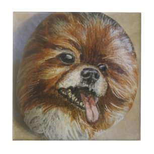 Pomeranian Kakelplatta