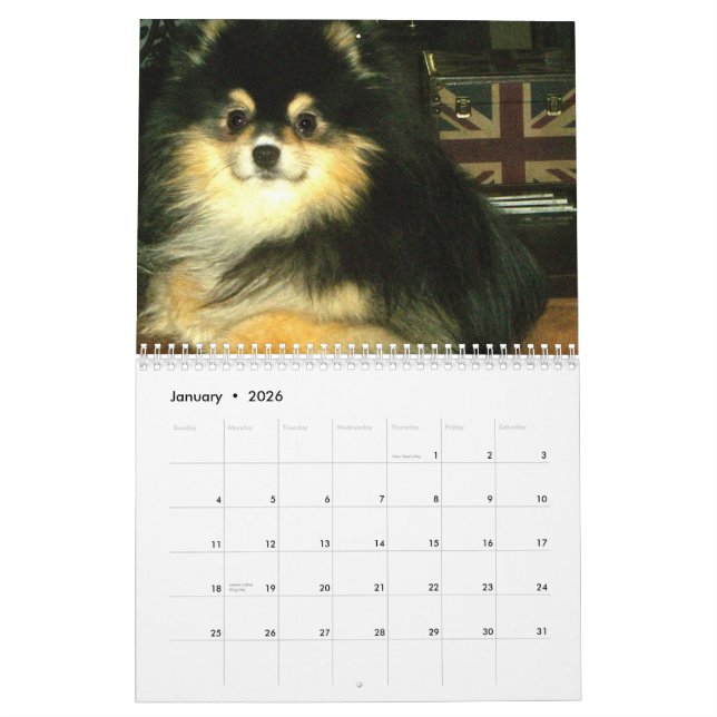 Pomeranian kalender (Jan 2026)