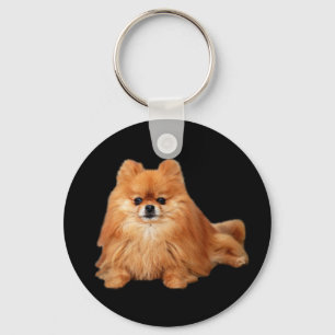 Pomeranian Keychain Nyckelring