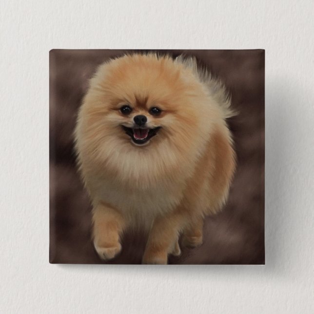 Pomeranian Knapp (Framsida)