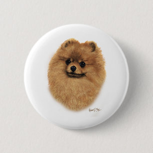 Pomeranian Knapp