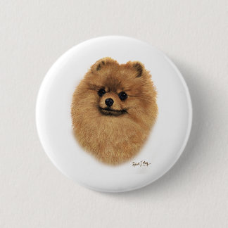 Pomeranian Knapp