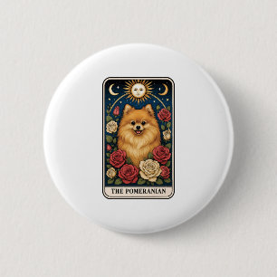 Pomeranian Knapp