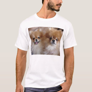 Pomeranian kompisar tee shirt