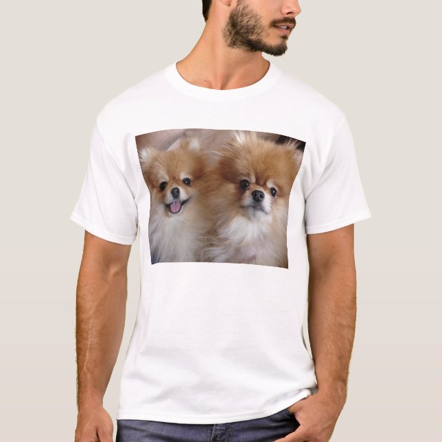 Pomeranian kompisar tee shirt (Framsida)