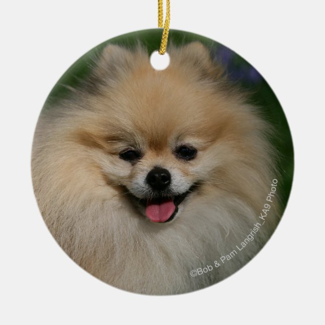 Pomeranian le julgransprydnad keramik (Framsidan)
