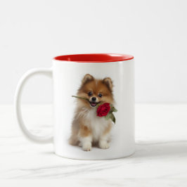 Pomeranian Love Två-Tonad Mugg