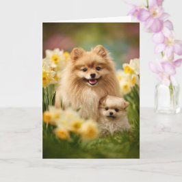 Pomeranian Mamma Mors Dag Kärlek Kort