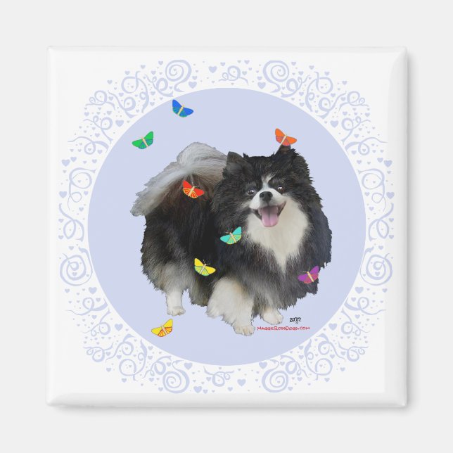 Pomeranian med fjärilar magnet (Framsidan)