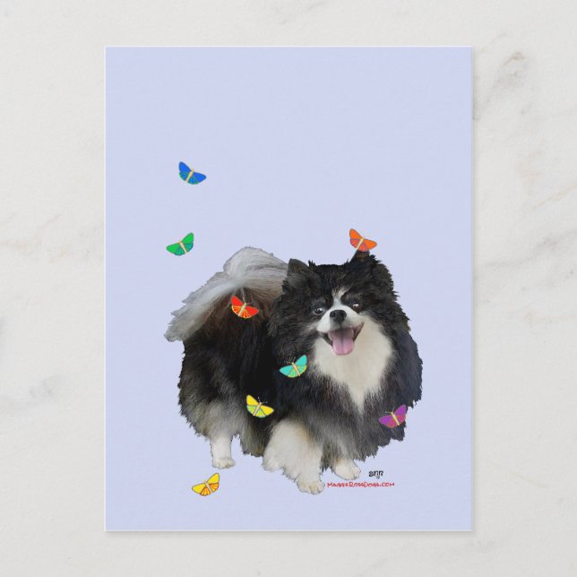 Pomeranian med fjärilar vykort (Framsida)