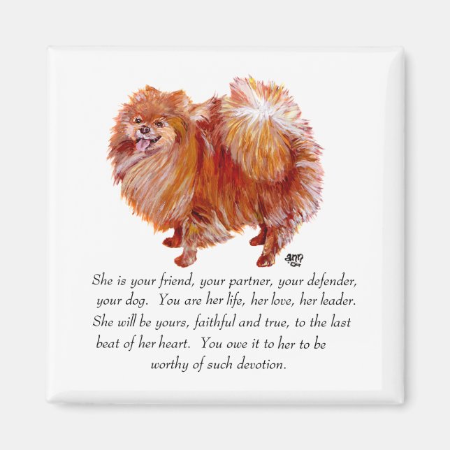 Pomeranian Minnesvärd Hona Magnet (Framsidan)