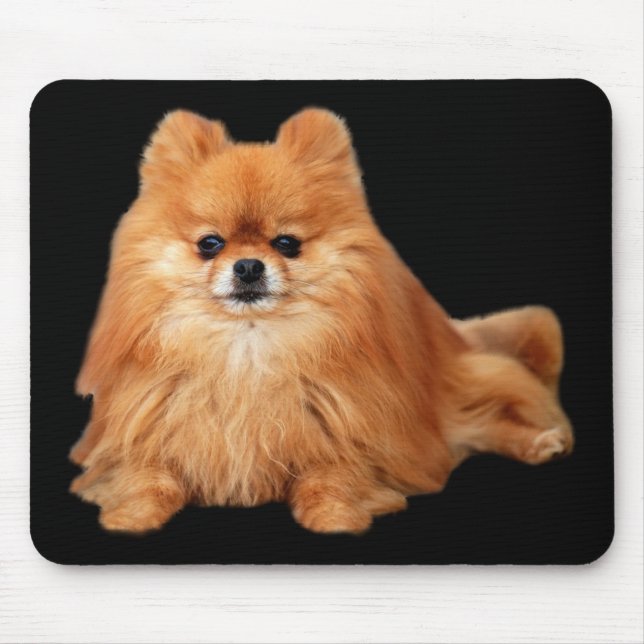 Pomeranian Mousepad Musmatta (Framsidan)