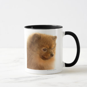 Pomeranian Mugg