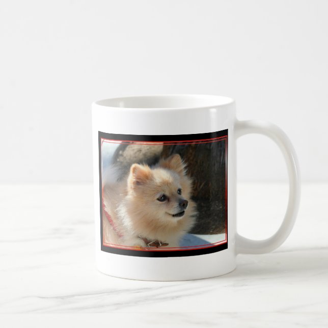Pomeranian mugg (Höger)