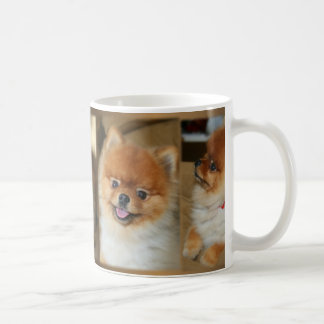 Pomeranian mugg