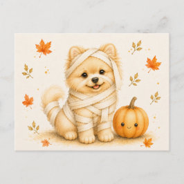 Pomeranian Mummie Halloween Vykort