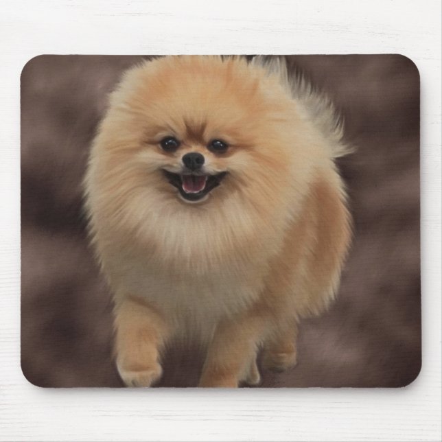 Pomeranian Musmatta (Framsidan)