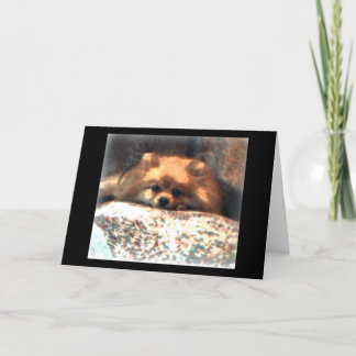 Pomeranian Notecard Kort
