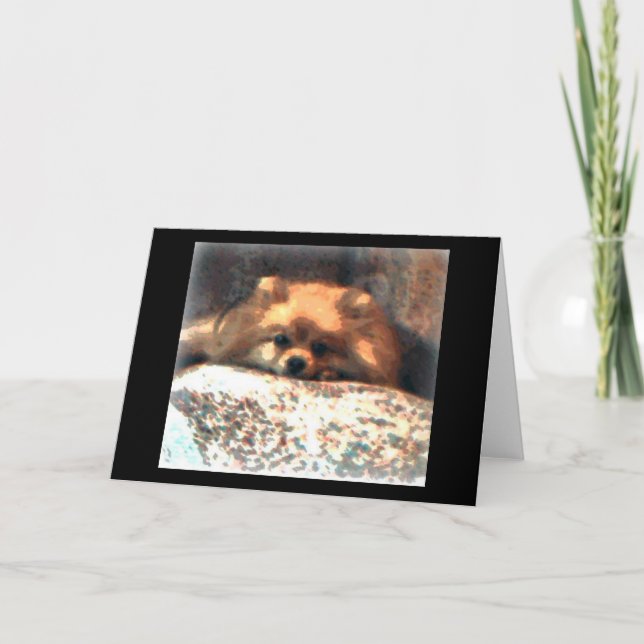Pomeranian Notecard Kort (Framsida)