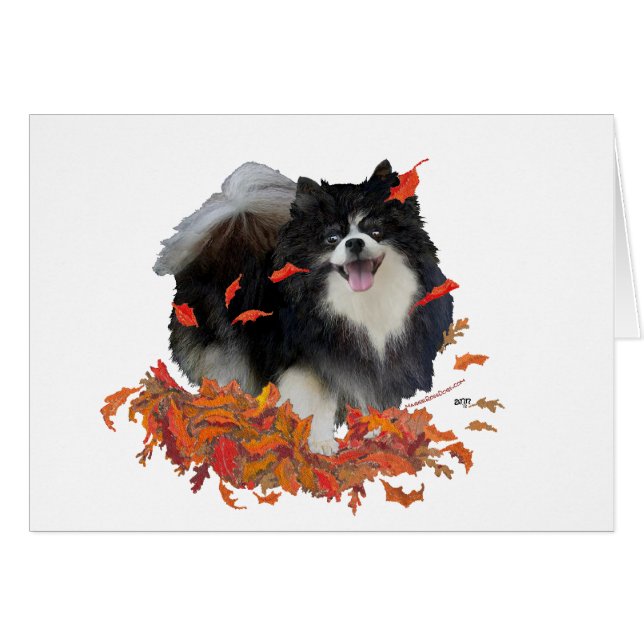 Pomeranian på hösten hälsningskort (Framsidan Horizontal)