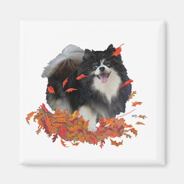 Pomeranian på hösten magnet (Framsidan)