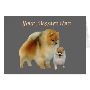 Pomeranian PalsGreetng kort